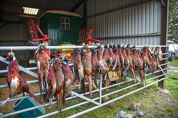 Tilden Farm 23rd Oct-362