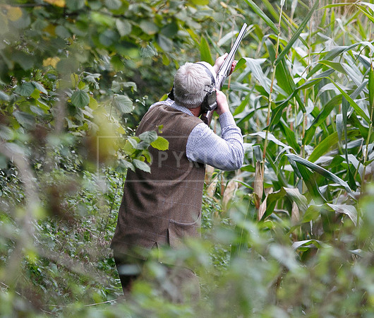 Tilden Farm 23rd Oct-225