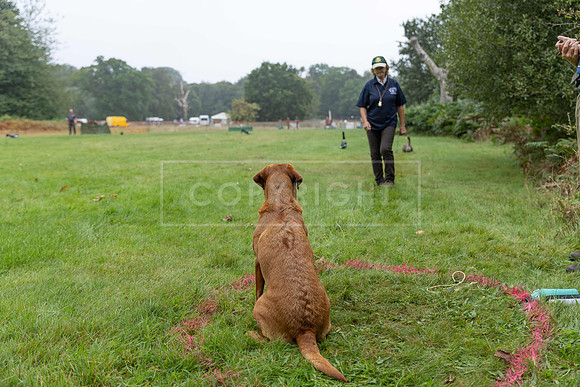 Jixenwell Scurry Challenge Final 2024-0145