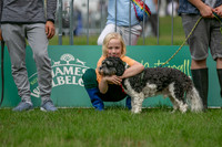 Scruffts Family Crossbreed of the Year competition. Knebworth Park. 13th September 2026-004