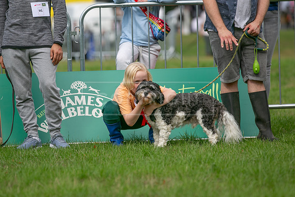 Scruffts Family Crossbreed of the Year competition. Knebworth Park. 13th September 2026-005