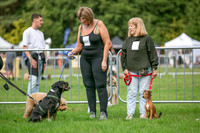 Scruffts Family Crossbreed of the Year competition. Knebworth Park. 13th September 2026-006