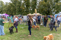 Scruffts Family Crossbreed of the Year competition. Knebworth Park. 13th September 2026-002