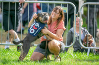 Scruffts Family Crossbreed of the Year competition. Knebworth Park. 13th September 2026-009