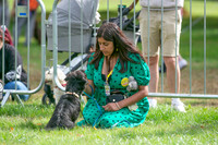 Scruffts Family Crossbreed of the Year competition. Knebworth Park. 13th September 2026-010