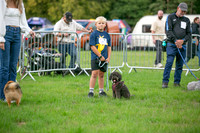 Scruffts Family Crossbreed of the Year competition. Knebworth Park. 13th September 2026-019