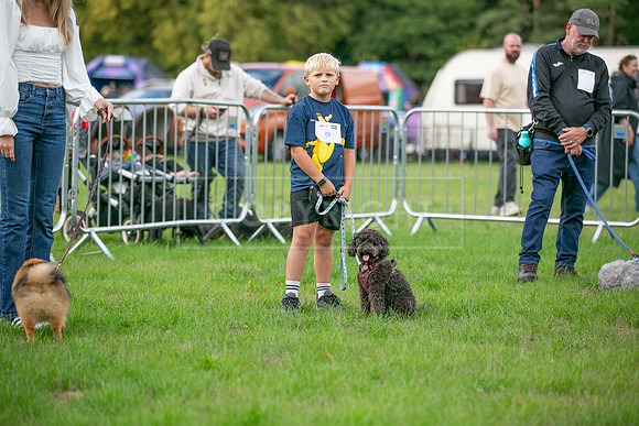 Scruffts Family Crossbreed of the Year competition. Knebworth Park. 13th September 2026-019