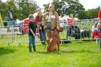 Scruffts Family Crossbreed of the Year competition. Knebworth Park. 13th September 2026-020
