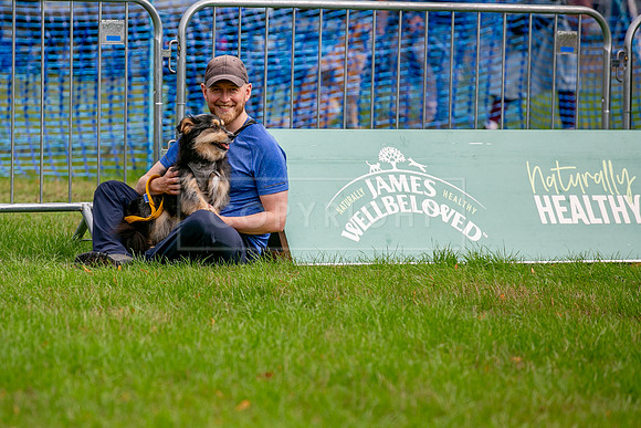 Scruffts Family Crossbreed of the Year competition. Knebworth Park. 13th September 2026-039