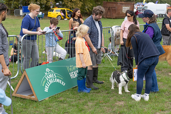Scruffts Family Crossbreed of the Year competition. Knebworth Park. 13th September 2026-038