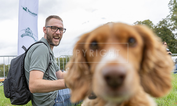 Scruffts Family Crossbreed of the Year competition. Knebworth Park. 13th September 2026-052