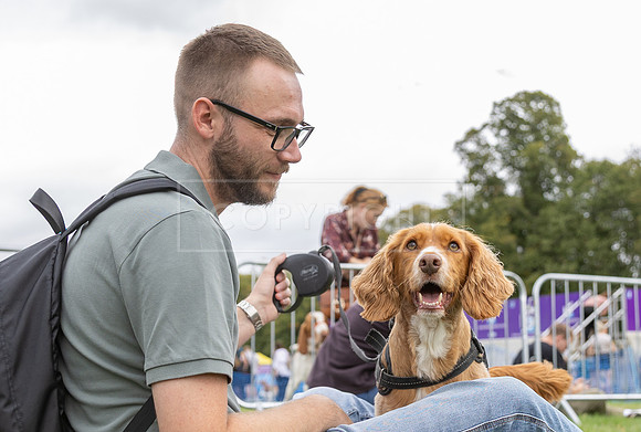 Scruffts Family Crossbreed of the Year competition. Knebworth Park. 13th September 2026-054