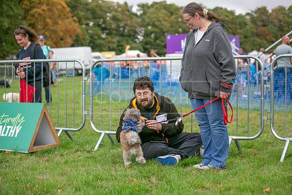 Scruffts Family Crossbreed of the Year competition. Knebworth Park. 13th September 2026-062