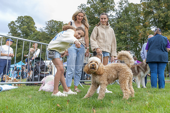 Scruffts Family Crossbreed of the Year competition. Knebworth Park. 13th September 2026-066
