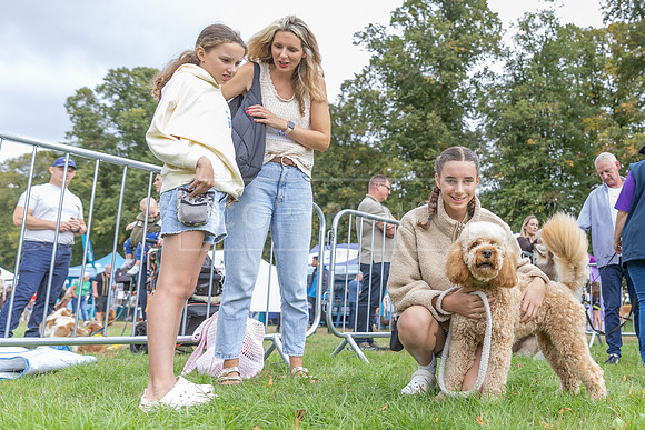 Scruffts Family Crossbreed of the Year competition. Knebworth Park. 13th September 2026-068