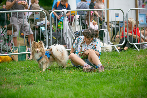 Scruffts Family Crossbreed of the Year competition. Knebworth Park. 13th September 2026-076