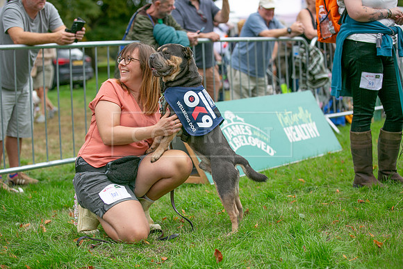 Scruffts Family Crossbreed of the Year competition. Knebworth Park. 13th September 2026-078