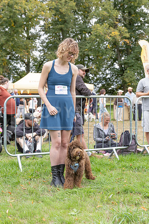 Scruffts Family Crossbreed of the Year competition. Knebworth Park. 13th September 2026-079