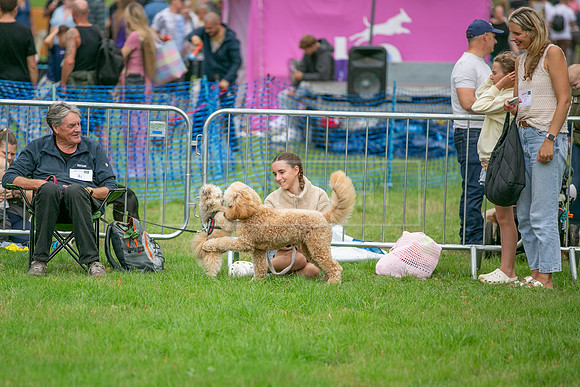 Scruffts Family Crossbreed of the Year competition. Knebworth Park. 13th September 2026-083