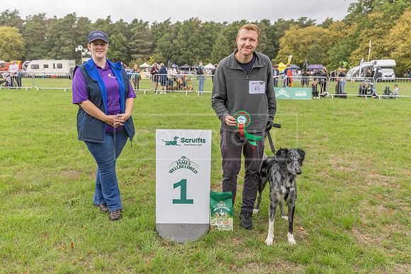 Scruffts Family Crossbreed of the Year competition. Knebworth Park. 13th September 2026-087