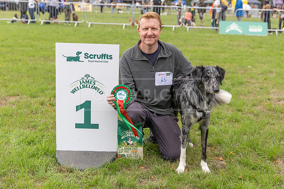 Scruffts Family Crossbreed of the Year competition. Knebworth Park. 13th September 2026-088