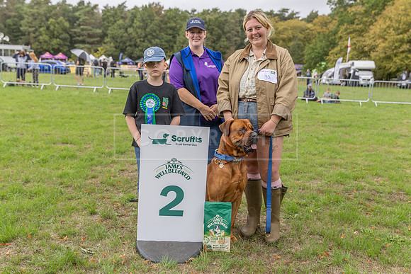 Scruffts Family Crossbreed of the Year competition. Knebworth Park. 13th September 2026-090