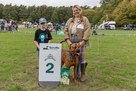 Scruffts Family Crossbreed of the Year competition. Knebworth Park. 13th September 2026-091