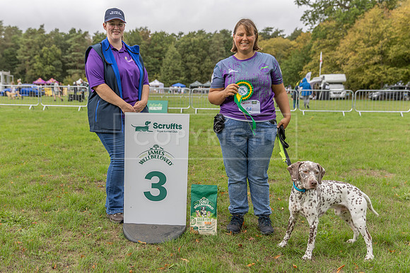 Scruffts Family Crossbreed of the Year competition. Knebworth Park. 13th September 2026-093