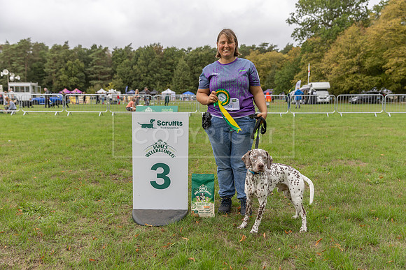 Scruffts Family Crossbreed of the Year competition. Knebworth Park. 13th September 2026-094