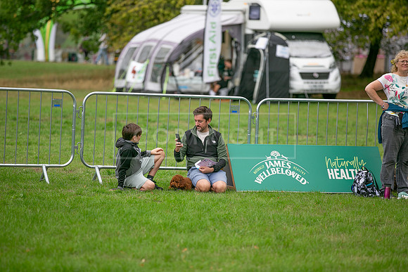 Scruffts Family Crossbreed of the Year competition. Knebworth Park. 13th September 2026-100