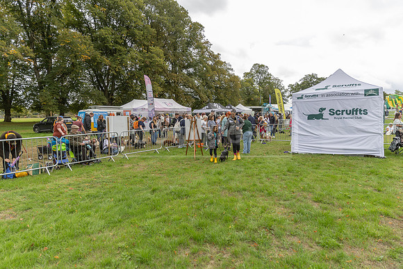 Scruffts Family Crossbreed of the Year competition. Knebworth Park. 13th September 2026-096