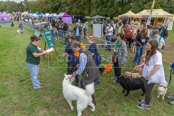 Scruffts Family Crossbreed of the Year competition. Knebworth Park. 13th September 2026-098