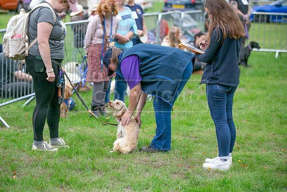Scruffts Family Crossbreed of the Year competition. Knebworth Park. 13th September 2026-101