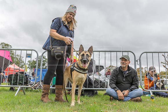 Scruffts Family Crossbreed of the Year competition. Knebworth Park. 13th September 2026-103