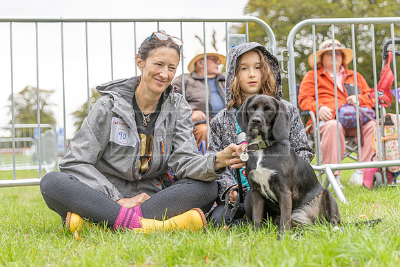 Scruffts Family Crossbreed of the Year competition. Knebworth Park. 13th September 2026-109