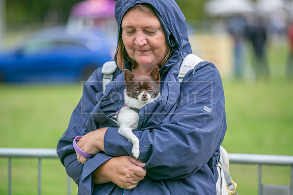 Scruffts Family Crossbreed of the Year competition. Knebworth Park. 13th September 2026-112