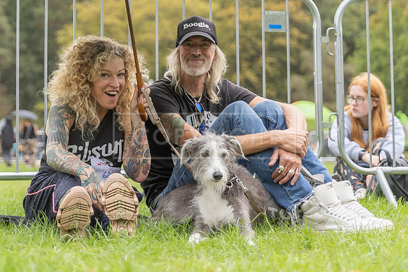 Scruffts Family Crossbreed of the Year competition. Knebworth Park. 13th September 2026-110