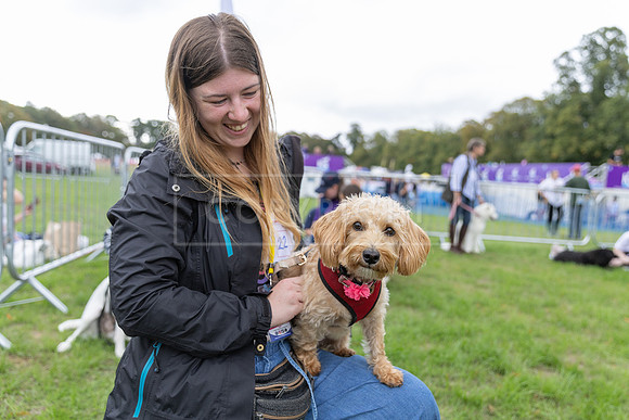 Scruffts Family Crossbreed of the Year competition. Knebworth Park. 13th September 2026-123