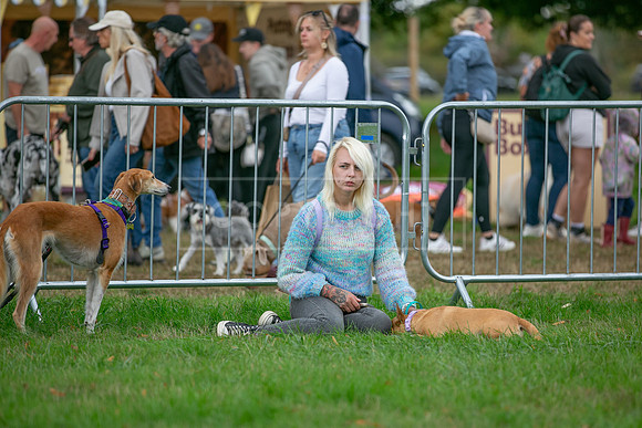 Scruffts Family Crossbreed of the Year competition. Knebworth Park. 13th September 2026-130