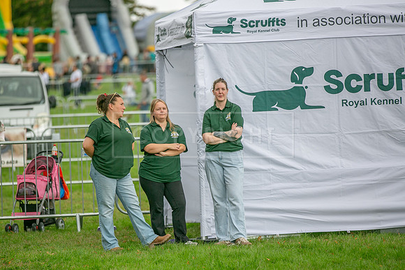 Scruffts Family Crossbreed of the Year competition. Knebworth Park. 13th September 2026-137