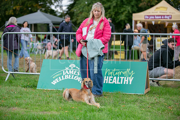 Scruffts Family Crossbreed of the Year competition. Knebworth Park. 13th September 2026-138