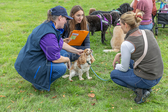 Scruffts Family Crossbreed of the Year competition. Knebworth Park. 13th September 2026-136