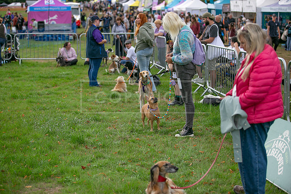 Scruffts Family Crossbreed of the Year competition. Knebworth Park. 13th September 2026-142