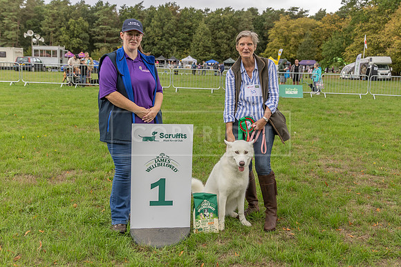 Scruffts Family Crossbreed of the Year competition. Knebworth Park. 13th September 2026-148