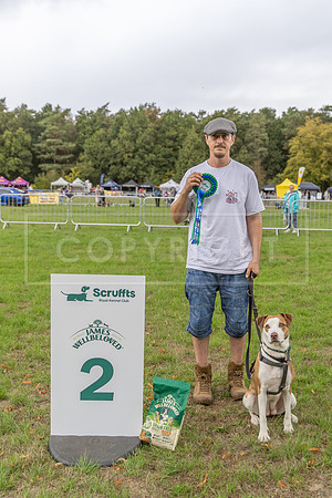 Scruffts Family Crossbreed of the Year competition. Knebworth Park. 13th September 2026-151