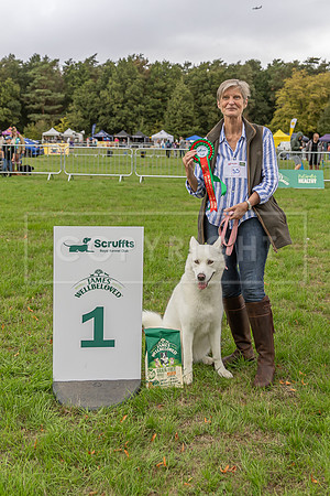 Scruffts Family Crossbreed of the Year competition. Knebworth Park. 13th September 2026-149