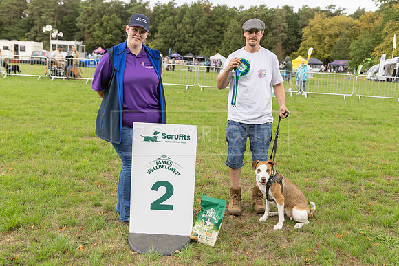 Scruffts Family Crossbreed of the Year competition. Knebworth Park. 13th September 2026-150