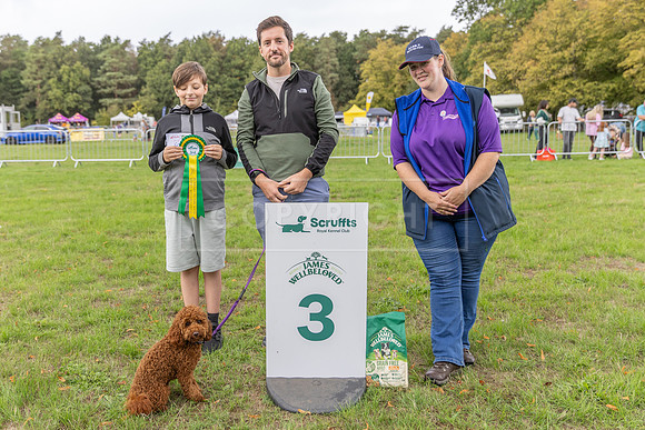 Scruffts Family Crossbreed of the Year competition. Knebworth Park. 13th September 2026-152