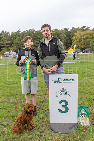 Scruffts Family Crossbreed of the Year competition. Knebworth Park. 13th September 2026-153