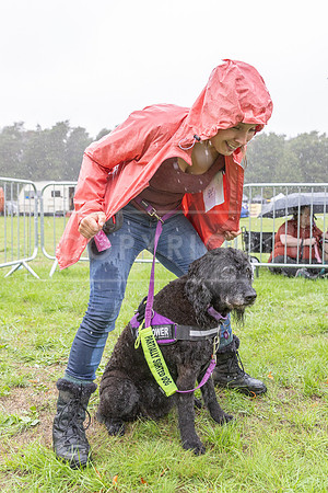 Scruffts Family Crossbreed of the Year competition. Knebworth Park. 13th September 2026-157